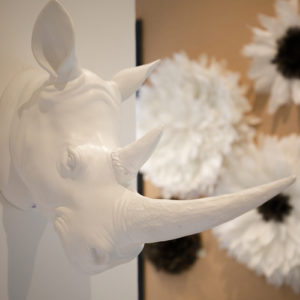 Détail décoration magasin MJ Concept tête de rhinocéros