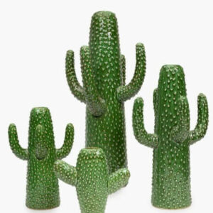 Vase cactus XS