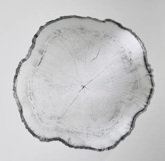 Miroir arbo Deknudt – Image 5